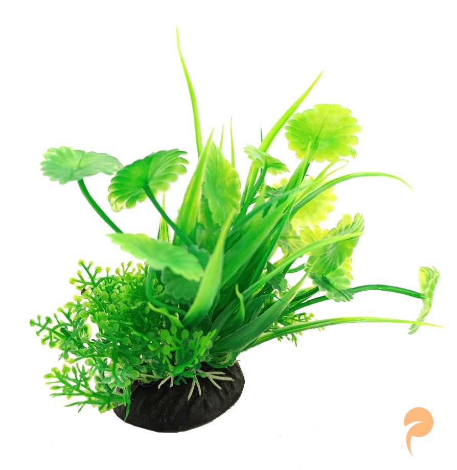 Фото3.Рослина, 6х4.5х12 см